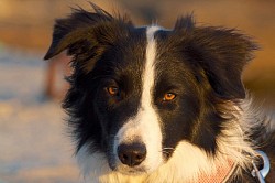 Addicted to you oKL - Snoop ✨