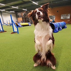 Catch your Chance oKL - Ocean - L3